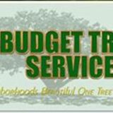 Tree Pruning