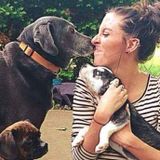 Dog obsessed and resisting my urge to adopt anymore dogs (right now). Please, let me love your dog.