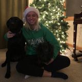 Interviewing For Cambridge Dog Trainer Opportunity