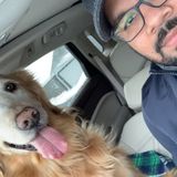 Available For South Florida Dog Walking, Florida Jobs