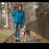 Dog Walking and Pet Sitting Offered in Englewood, and Littleton