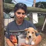 Petsitter/ vet tech