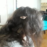 My name is Cheyanne, Heya! I love all animals from dogs and cats to reptiles.