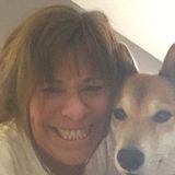 Well Trained Pet Service Provider in Delray Beach