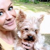 Pet care provider