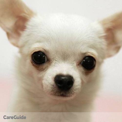 Pet Care Provider Royalty P's Profile Picture