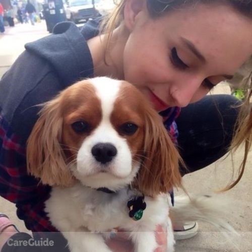 Pet Care Provider Elizabeth C's Profile Picture