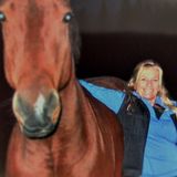 Childcare: after school/3rd shift care, personal assistance, horse vacation relief. Experienced.