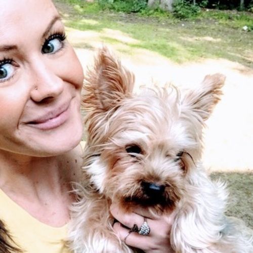 Pet Care Provider Chelsea D's Profile Picture