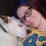 For Hire: Trustworthy Pet Trainer in Havertown, Pennsylvania