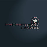 We provide more than just tutors, we provide mentors!