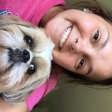 Excellent with animals