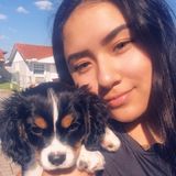 Consistent Petsitter Available Immediately after school.