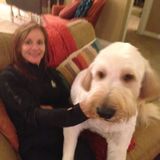 Let me LOVE on your PET just like I would mine. ALWAYS go the extra mile...it's never crowded