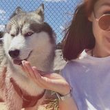 Interested In a Cat or Dog Sitter Job in Marina Del Rey or close area