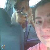Trustworthy House Sitter
