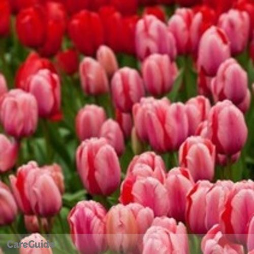 Elder Care Provider Jacqueline S's Profile Picture