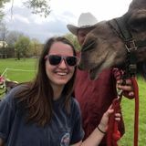 Looking For Ashland or Ada Pet Sitting Opportunity