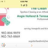 The Clean Team