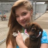 Pet lover looking for an adventure with a new friend!