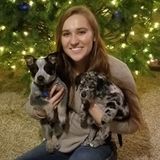 Caring Petsitter in San Antonio