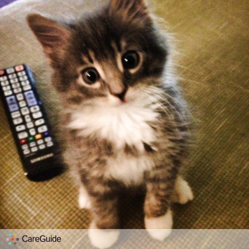 Pet Care Provider Talia M's Profile Picture