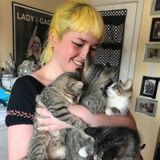 Available: Confident animal lover in downtown Toronto