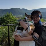 Variety pet owner with 10 years experience! My range includes dogs, cats, guinea pigs, fish and rabbits.
