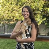 Pet sitter looking for job opportunities to help out with your four legged family members!