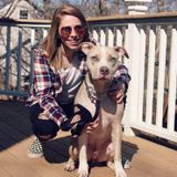 Present Animal Caregiver Available Immediately