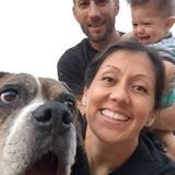 Handy Helper/Pet Friendly
