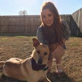 Love working with dogs and looking for something fun to do over the summer.