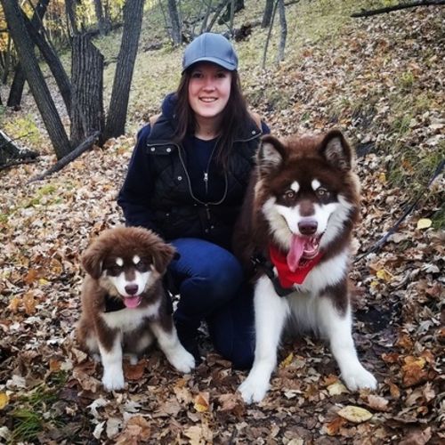 Pet Care Provider Kristine M's Profile Picture