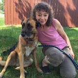Excellent, Affordable Dog Walking and Pet Sitting Services