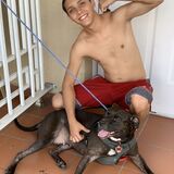 Im an animal person and love all creatures.
I love all animals, and I am offering to look after and care for your pet.