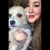 I love walking, and dogs! SO COMBINING THEM BOTH IS EVEN BETTER! :)
