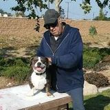 Fontana, California PET WALKING