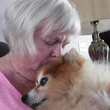 Reliable Animal Caregiver in Lutz
