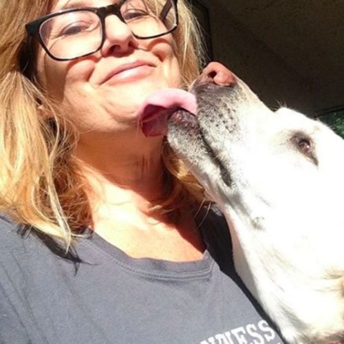 Pet Care Provider Karen S's Profile Picture