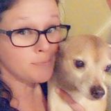 Im an ABC Certified Dog Trainer that is in the beginning stages of starting my own training business!