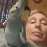 Wonderful, loving, person who wants to pet set for you