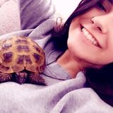 Hardworking Dog Sitter for Your Home