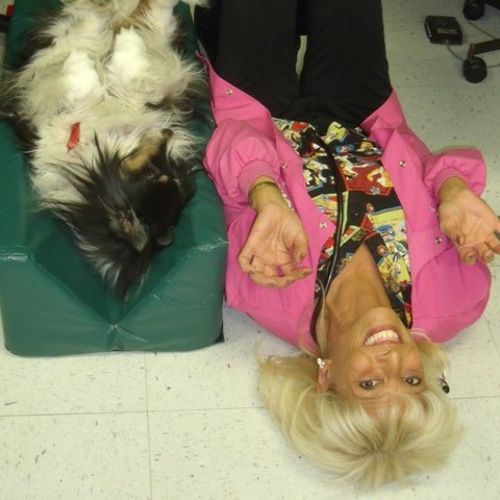 Pet Care Provider Chris J's Profile Picture