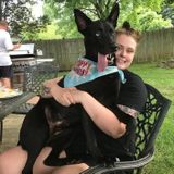 Responsible, Reliable, and Caring Brandywine/Waldorf Vet Tech looking to help out!