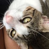 Hi Im Sara! Im starting off my path on a solid ground through animal care, and provide nothing but love.