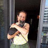 Cat Lady wants to help you take care of your cats when you are not around. (And I like dogs too).