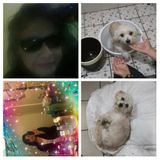 San Diego, California House and Pet Sitter