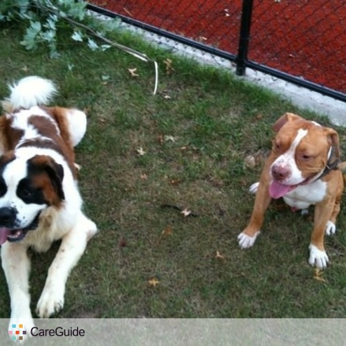 Pet Care Provider Christopher C's Profile Picture