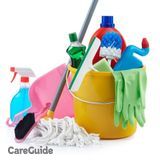 Great cleaner