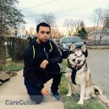 15 Yr Experienced And Loving Dog Care Provider